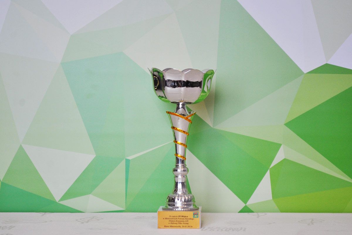 Mistrzostwa Powiatu Rawskiego LZS w Halowej Piłce Nożnej 2014 roku