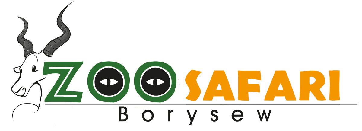 Logo Zoo Safari Borysew