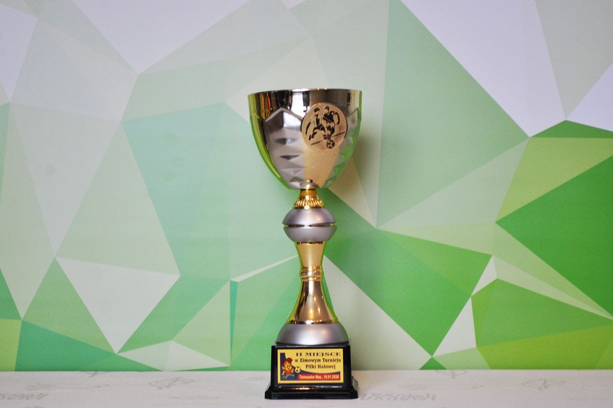 Zimowy Turniej Piłki Halowej Rocznik 2008/2009 w 2019 roku